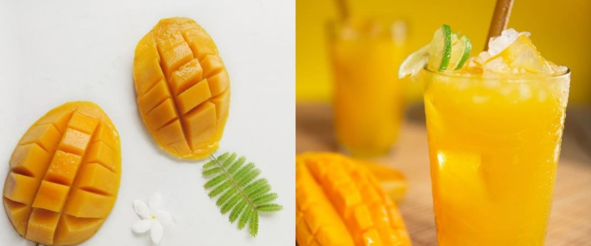 10 Delicious Mango Cocktails to Satisfy Your Summer Cravings