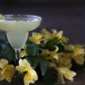 Uncovering the Mysteries and Truths of Popular Stories and Myths: The Fascinating History of the Traditional Margarita and Its Variations